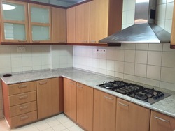 Carissa Park Condominium (D17), Condominium #180528032